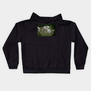 Wild Horses Kids Hoodie